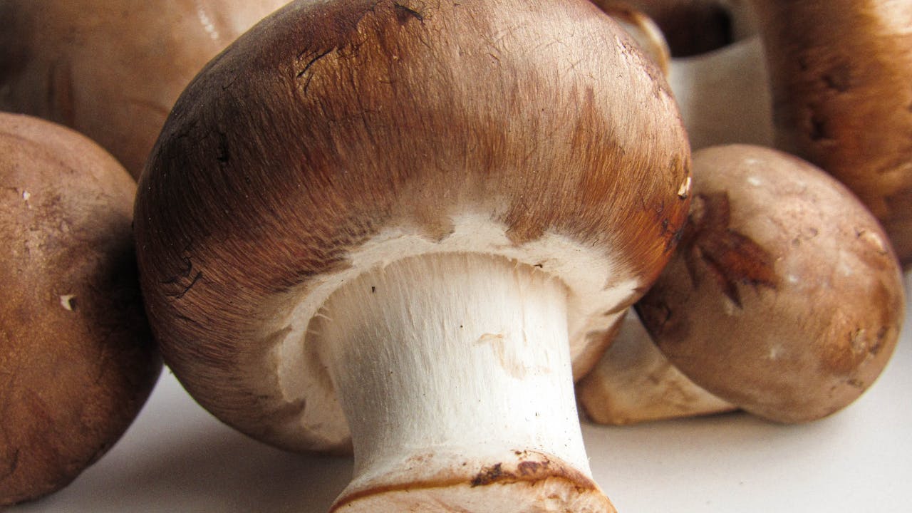 Fresh spermidine-rich foods including mushrooms, wheat germ, and fermented foods on a wooden surface
