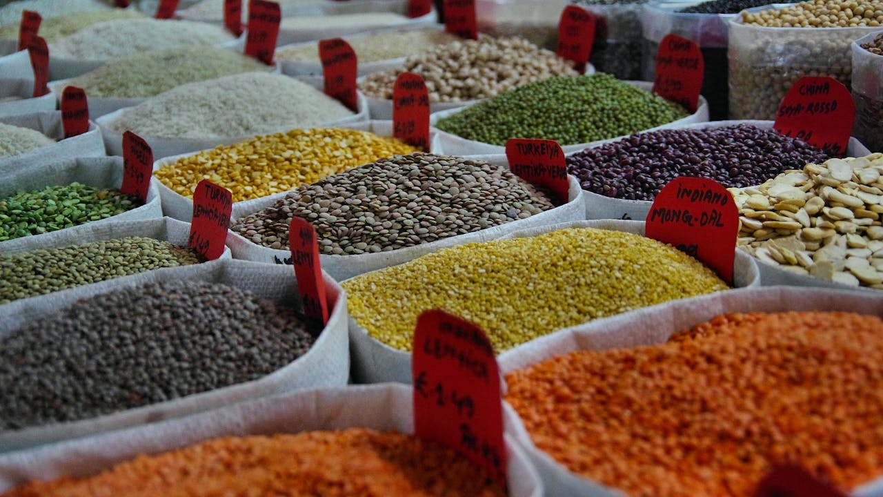 Taurine-rich whole food sources including fish and seafood