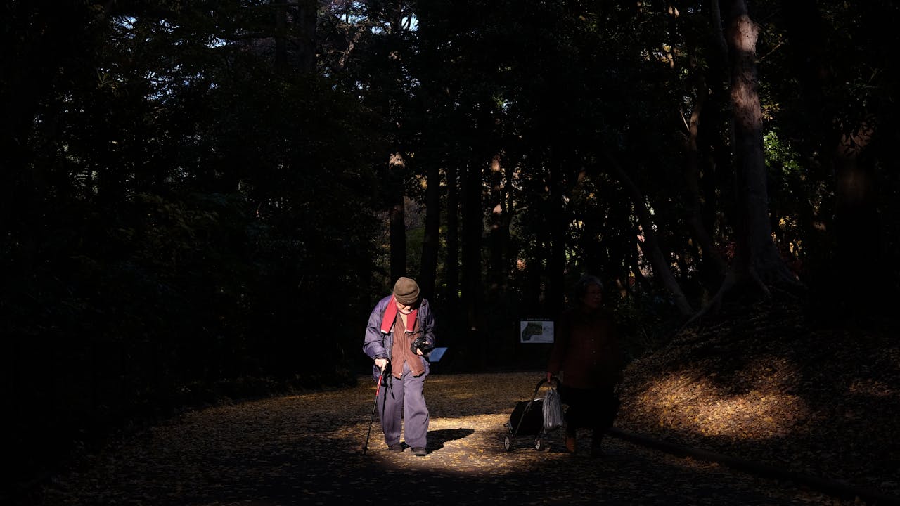 Older adults walking outdoors in natural light, representing improved physical function and longevity